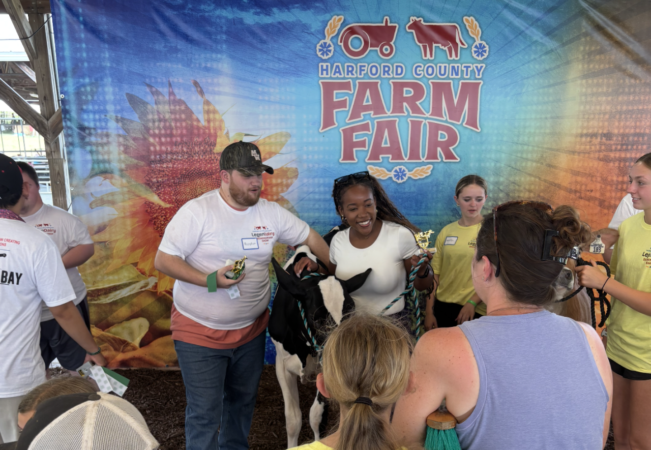 Austin, Taylor and Applesauce the cow