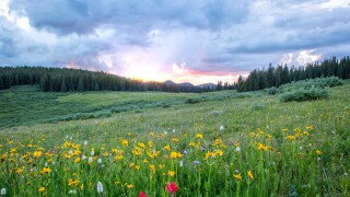 Spring storm chances 