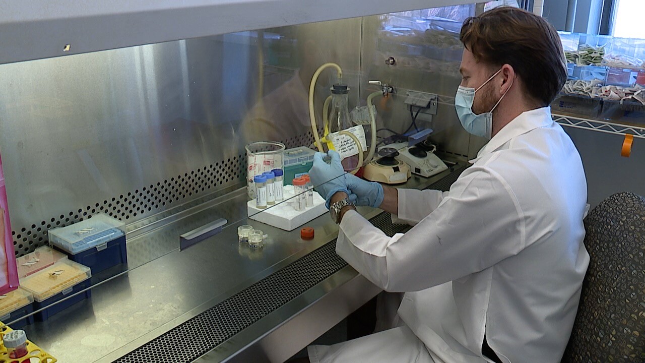 Filtering process.jpg