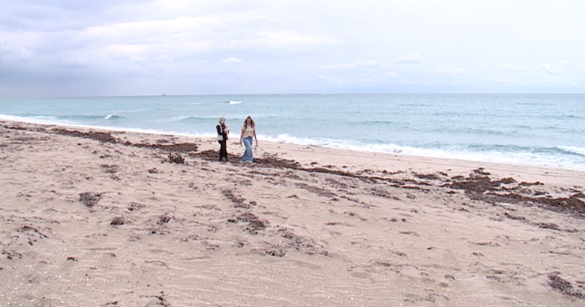 Oil-covered litter washing up on Palm Beach linked to 2019 Brazil oil spill