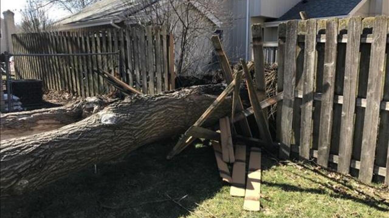 View photos of weather damage in metro Detroit
