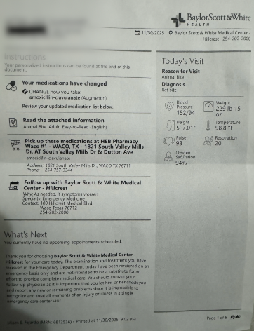 Cinemark mice concerns