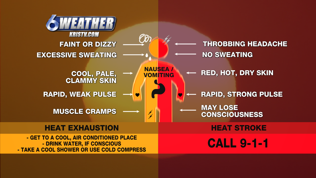 6WEATHER: Heat Exhaustion & Heat Stroke Symptoms & Ways to Beat the Heat