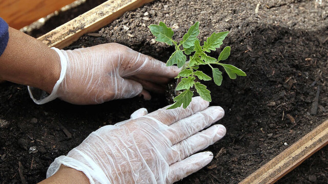 6 ways to do your part on Earth Day