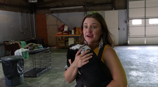 Screen Shot 2025-09-26 at 7.13.08 PM.png