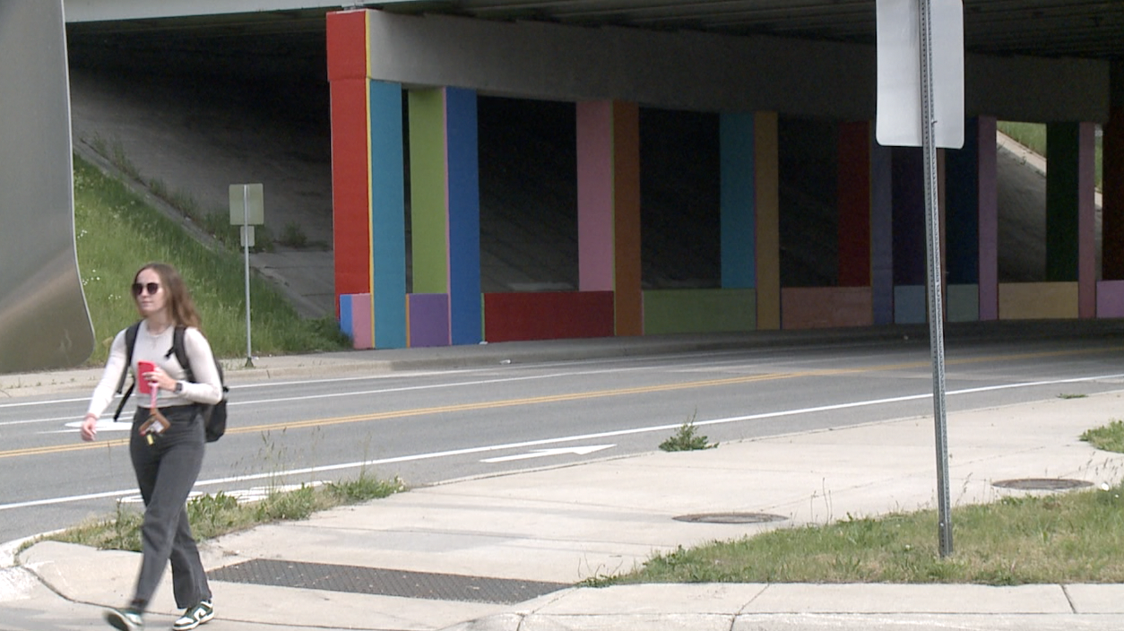 lions and rabbits 3.png