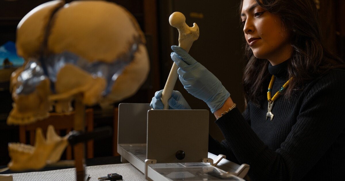 Native UM student works to create missing persons database - Vimarsana News