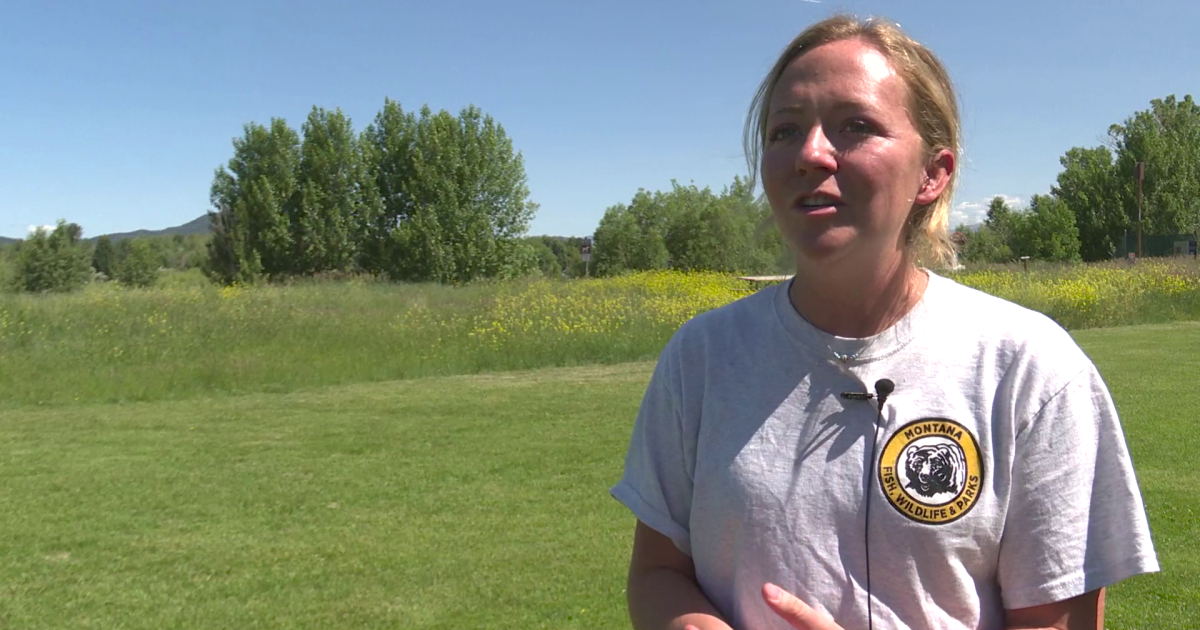 Summer Walk Series gets underway in Helena - Vimarsana News