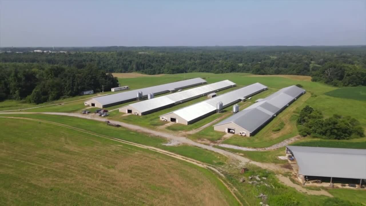 Tyson Foods Chicken Plant Closure