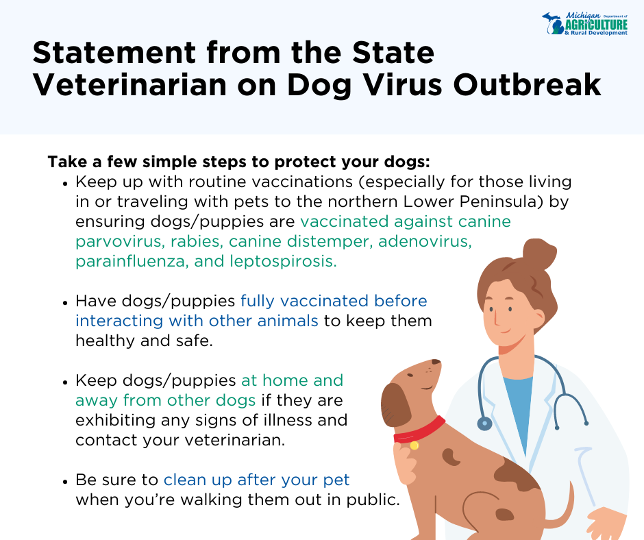 State Vet Parvo Prevention Tips