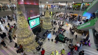 Black Friday Holiday Shopping