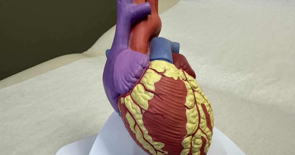 Check in with your heart during this American Heart Month - Vimarsana News