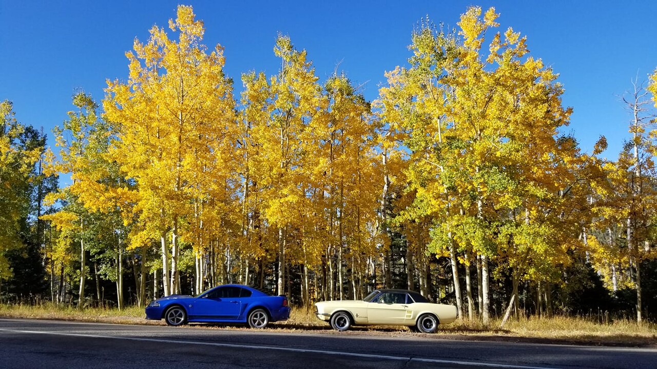 Cuchara Pass Kristi Bevsek.jpg