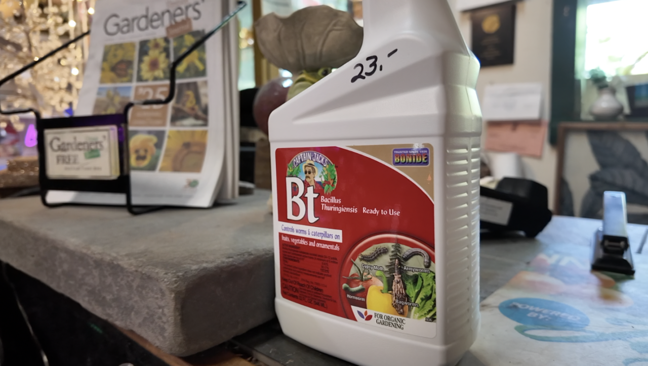 Screenshot 2025-08-19 at 3.56.21 PM.png