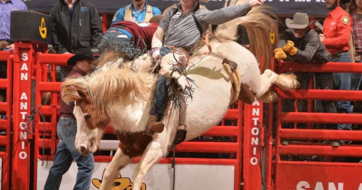 Evan Jayne Out With Pelvis Injury Updated World Standings