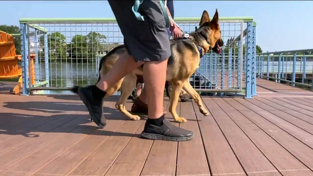 Poster image - 2021-08-20T181755.547.jpg