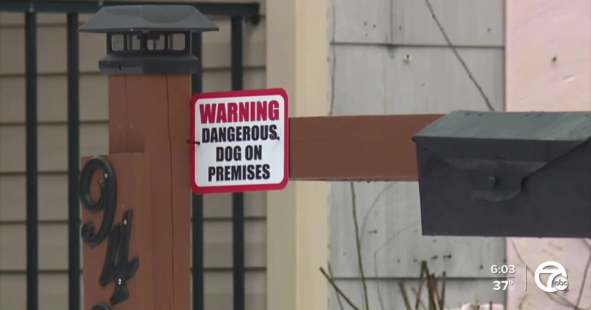 Detroit couple charged in fatal dog mauling of man