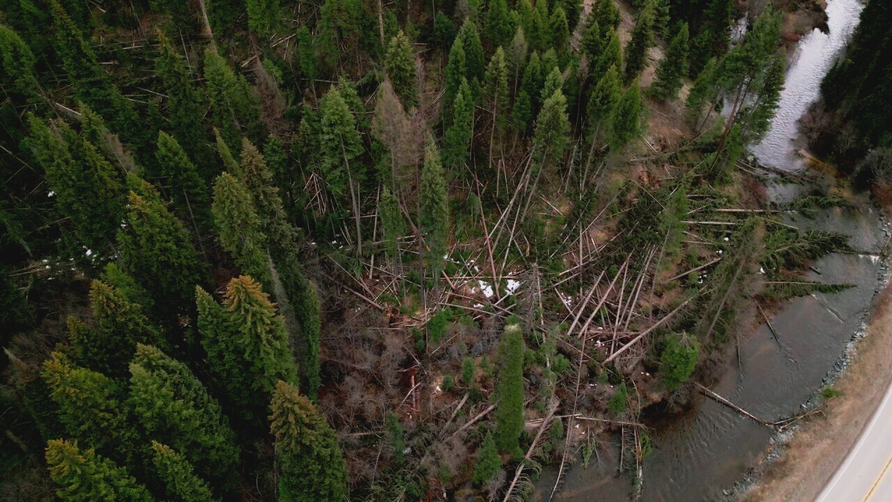 Lolo National Forest