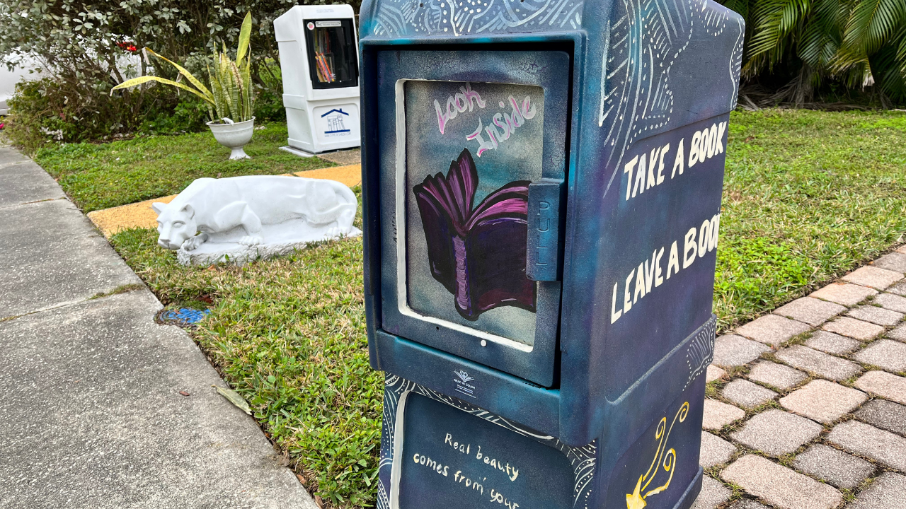 St. Pete little free libraries Stassy Olmos WFTS3.png