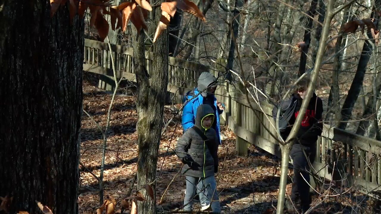 mccormick creek 5.jpg