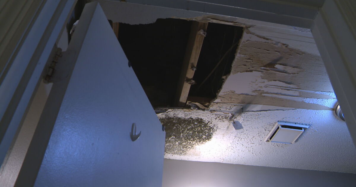 Rats, mold, and failed inspections: Fairview residents say apartments are unsafe
