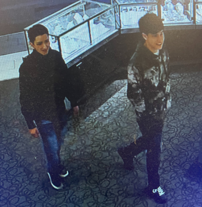 jewelry theft 11-11-25.png