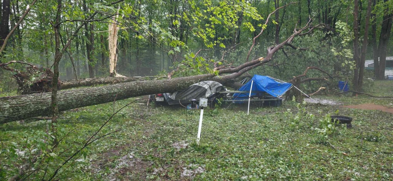 Campers survive storm