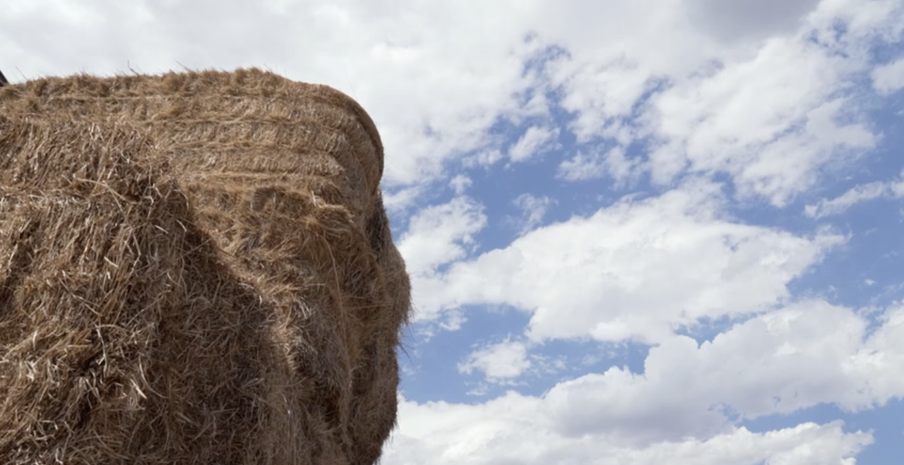 Hay Farm in NoCO