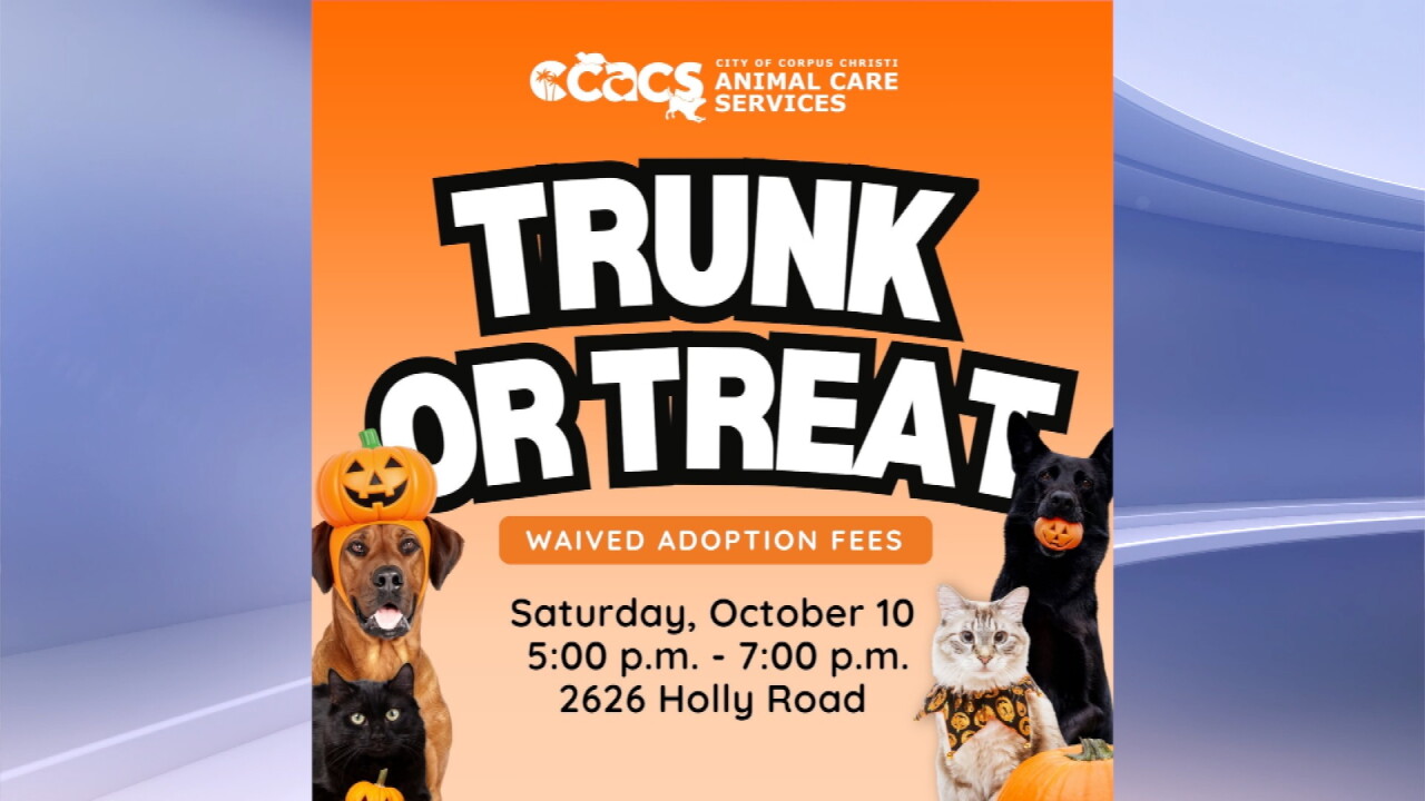 Spooktacular fun! Corpus Christi Animal Care hosts Trunk or Treat Saturday