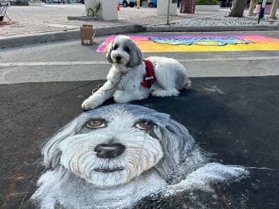 31 annual Lake Worth Beach Street Painting Festival 02202025.jpg