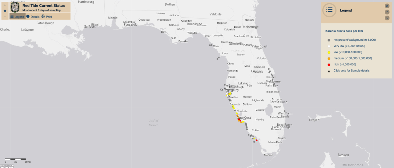 Screen Shot 2023-01-30 at 1.15.48 PM.png