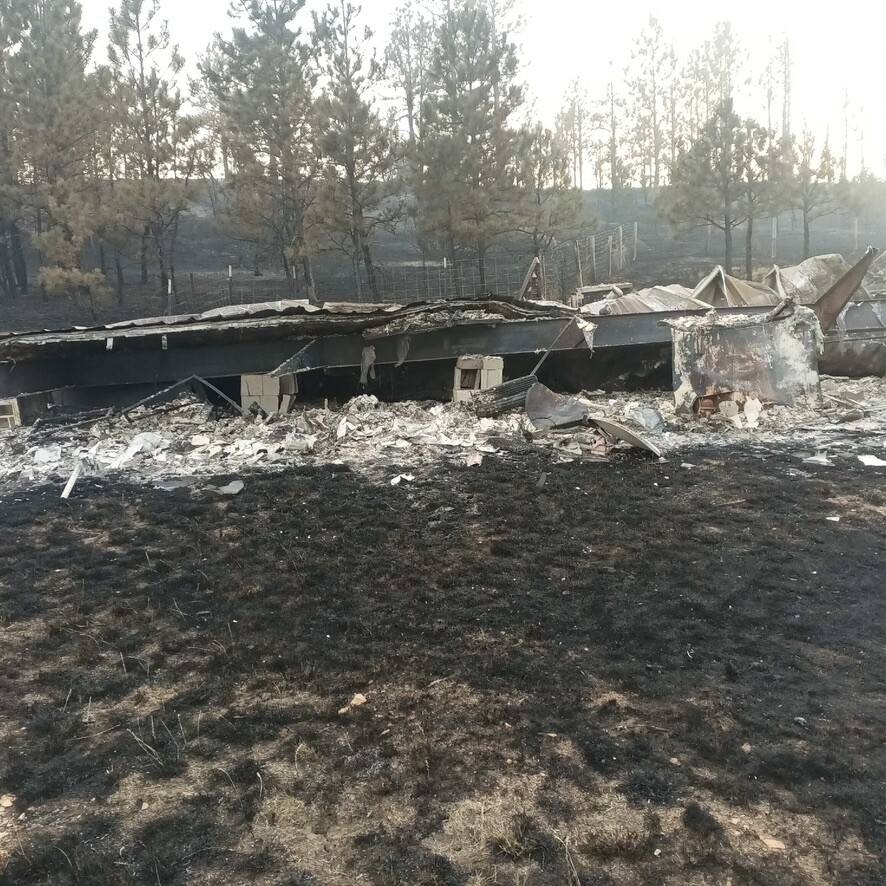 Short Draw wildfire devastation