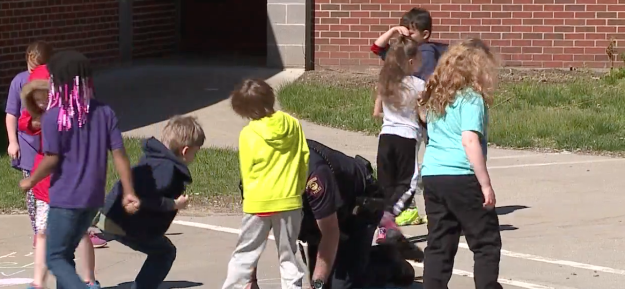 Screen Shot 2022-05-12 at 9.23.50 AM.png