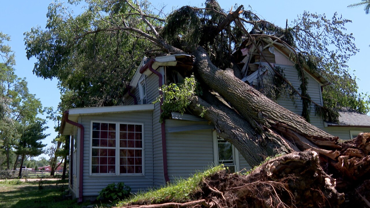 tree into home 4.jpg