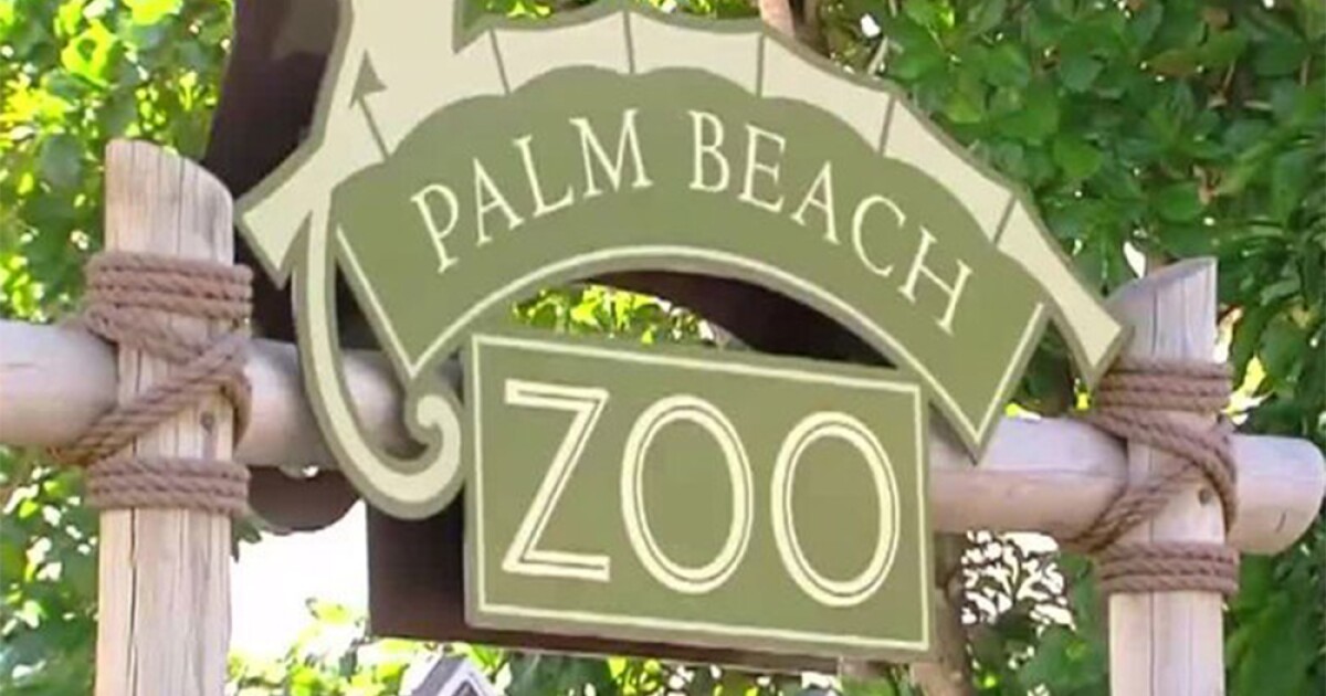 Palm Beach Zoo extends Kids Free summer promotion through August 10