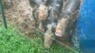 Harvey Storms Impact Local Farmers