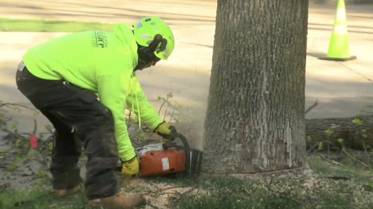 Screen Shot 2021-05-26 at 2.39.19 PM.png