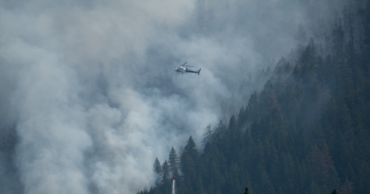Colt Fire update: Aug. 3, 2023 - Vimarsana News