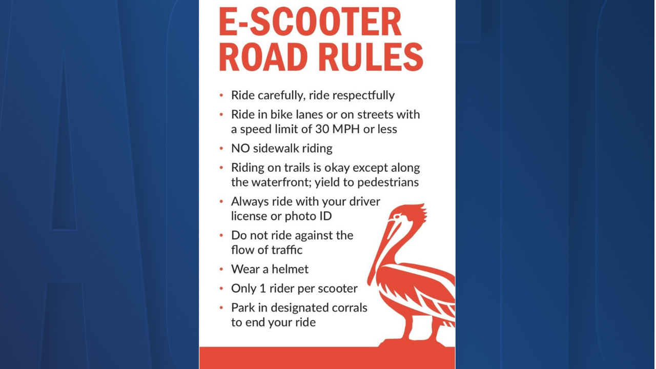 St. Pete Police look for driver who struck, killed person on e-scooter
