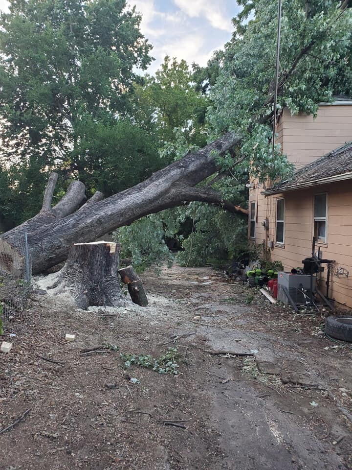 KCK tree on house 6.jpg