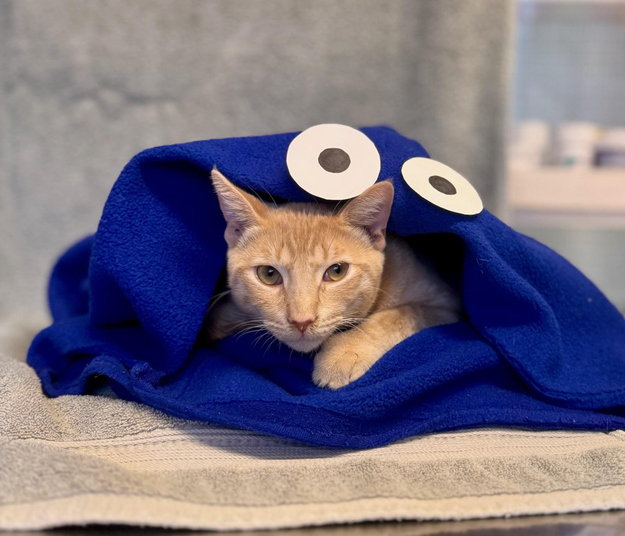 Cookie.png