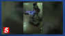 Animal control officers search for person in video of abuse
