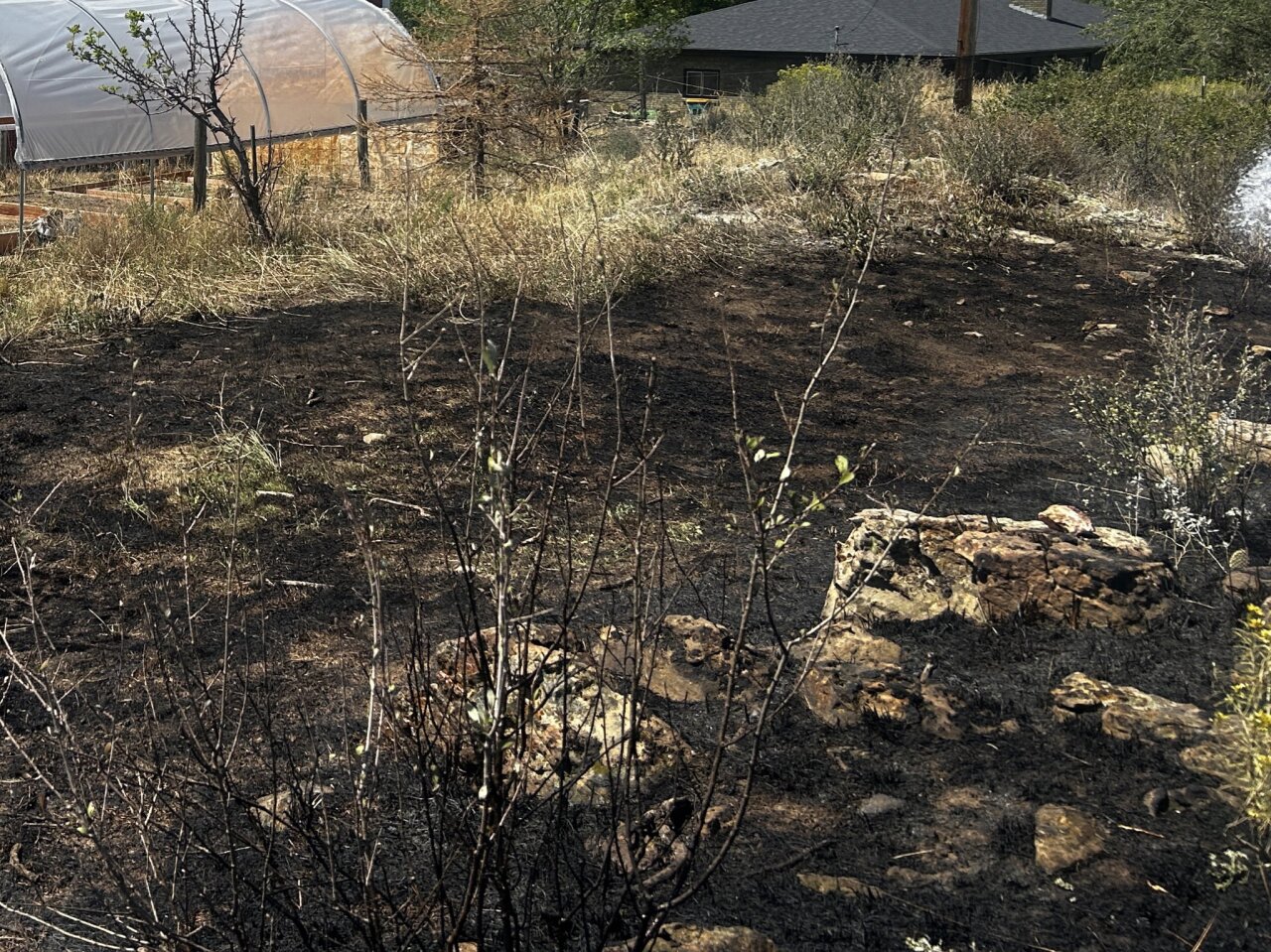 4300 block of Feather Crt grass fire on aug 29 2024 in larimer county