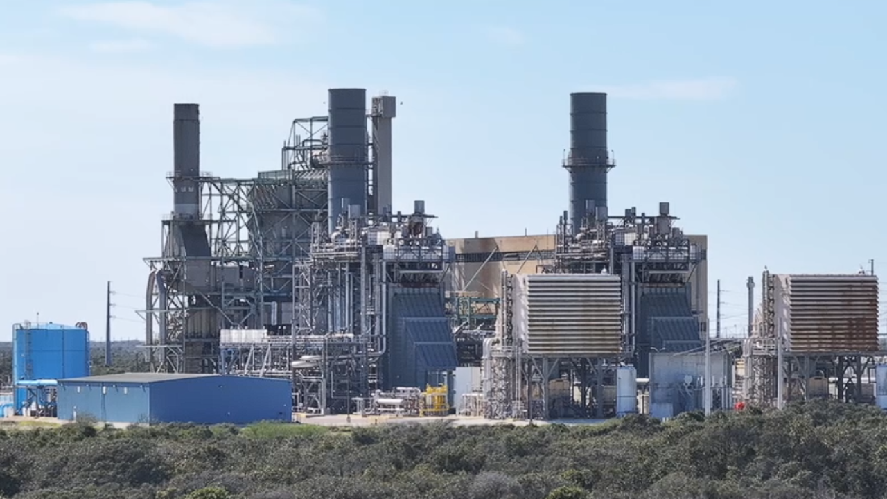 BARNEY DAVIS PLANT.png