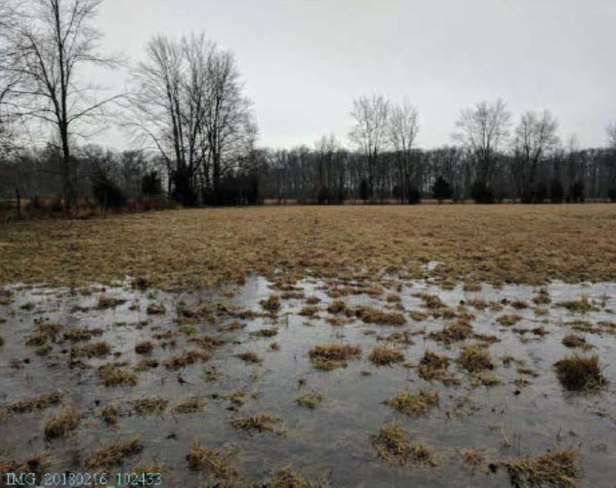 Tom Brown's farmland with standing water near Bethel.