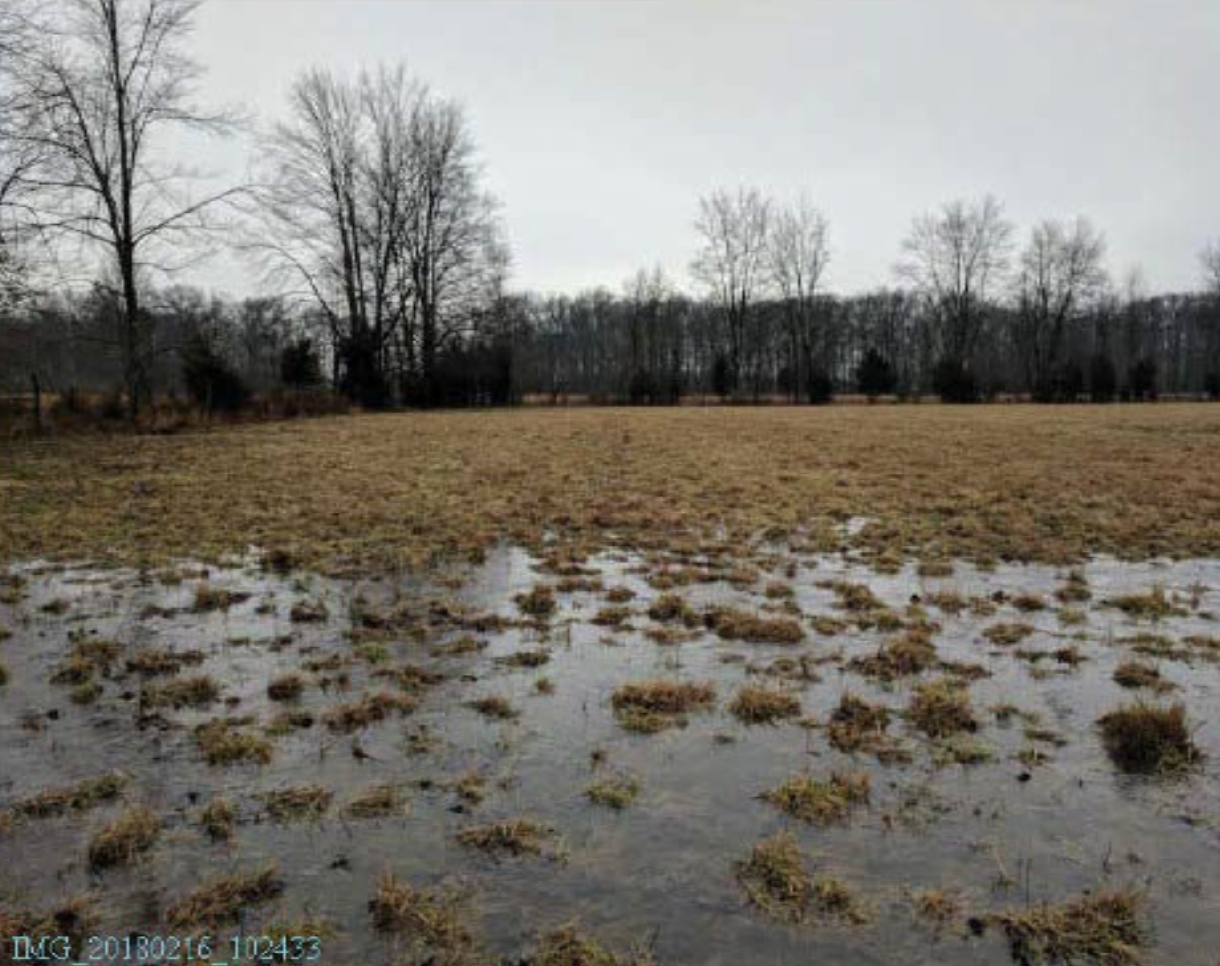 Tom Brown's farmland with standing water near Bethel. 