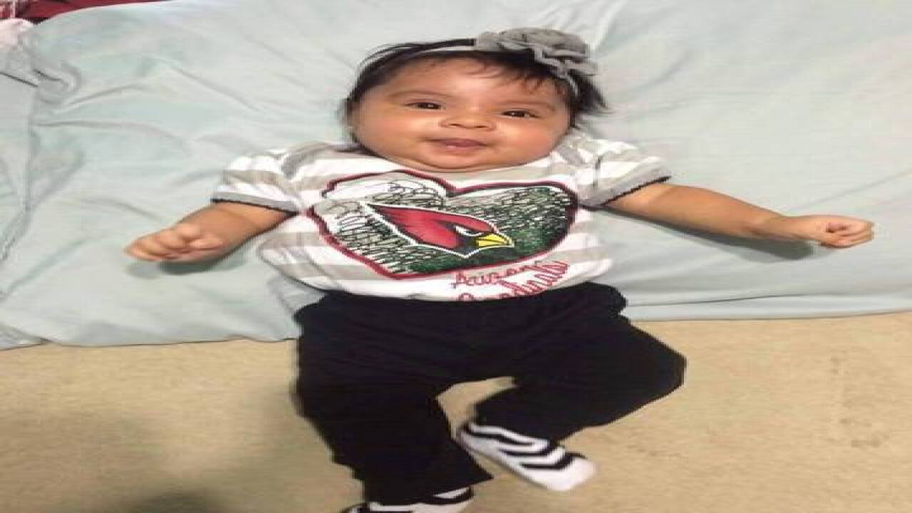 GALLERY: Go Cards! Your fan photos