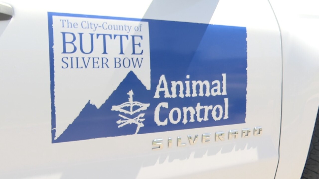 ANIMAL CONTROL .jpg