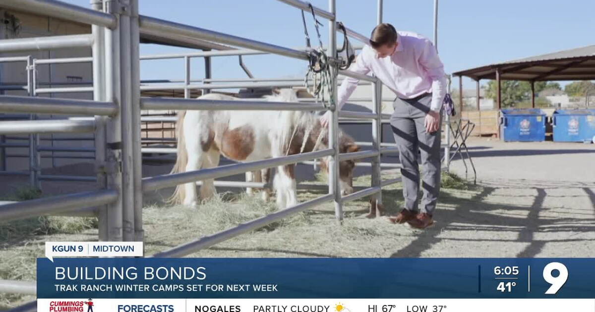 Talk Ranch TRAK ranch brings kids together with animals to create long lasting ...