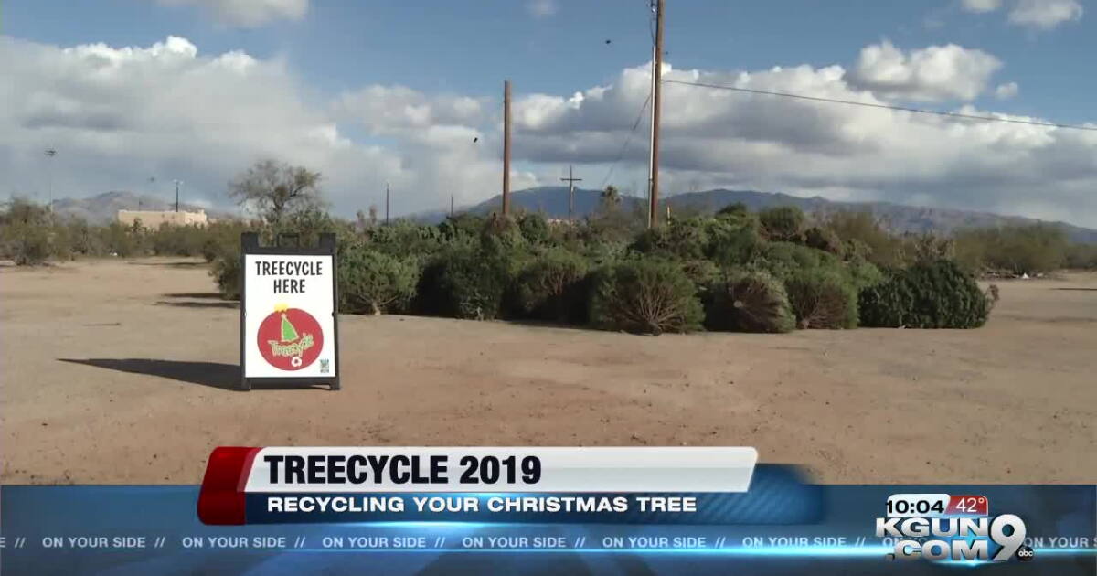 Where to recycle your Christmas tree in Tucson